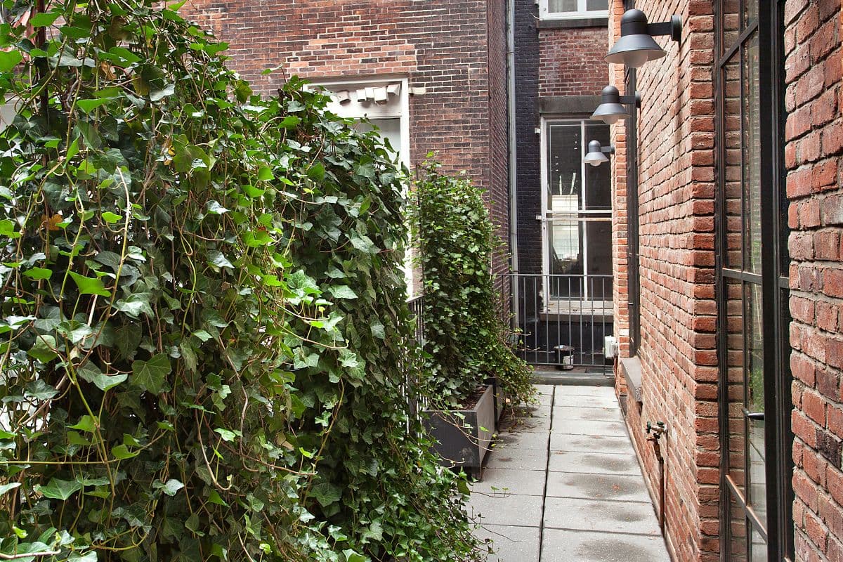 55 Mercer Street — photo 11
